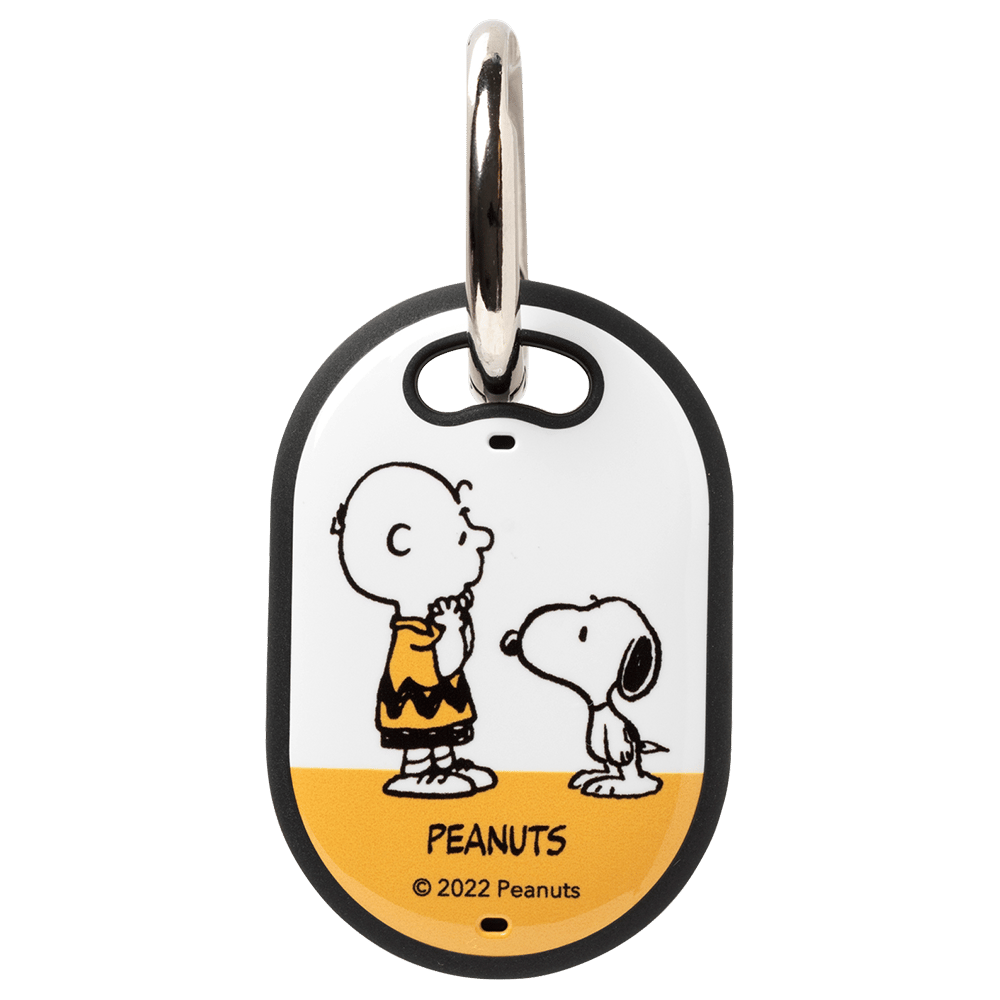 あすか様専用☆スマートキャンバス BEAGLE HUG スヌーピーとチャーリー