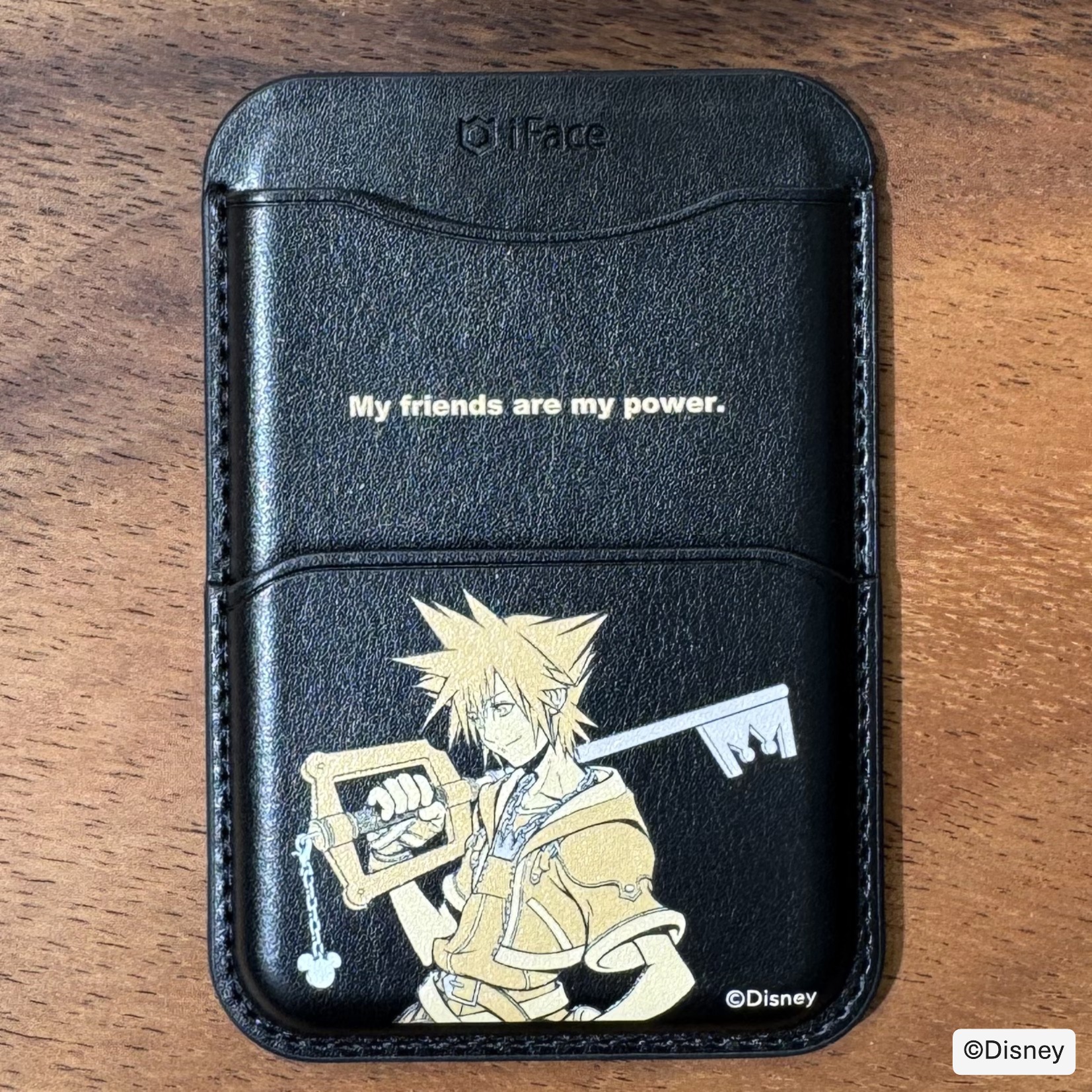 キングダムハーツMagWallet 1